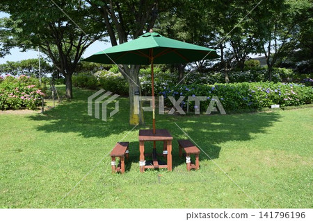 Park bench Park bench 141796196