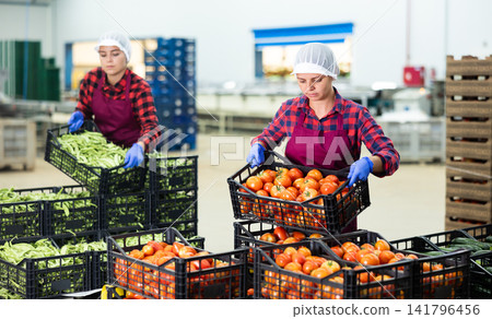 Women stacking crates full of vegetables in factory storehouse Women stacking crates full of vegetables in factory storehouse 141796456