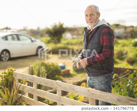 Mature man owner of plantation garden is resting standing after work and tasks Mature man owner of plantation garden is resting standing after work and tasks 141796778