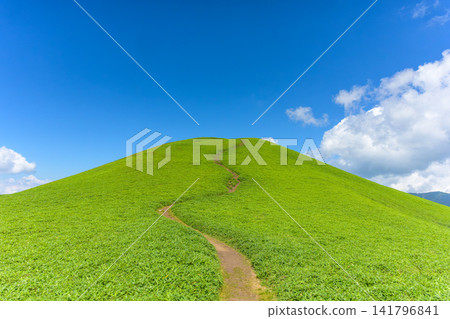 霧峰和美之原地區初夏時節,美麗的脊線一直延伸到三峰山(長野縣)。 霧峰和美之原地區初夏時節,美麗的脊線一直延伸到三峰山(長野縣)。 141796841