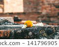 泰國寺廟裡的鮮花 141796905