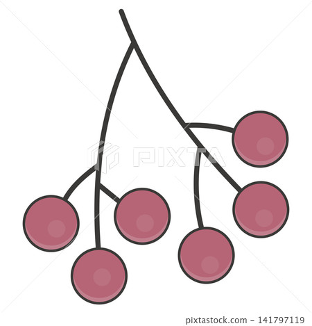 Flat style sticker illustration of a rowan berry cluster on a twig isolated on transparent background. Autumn mountain ash berry botanical vector design element for fall asset. Flat style sticker illustration of a rowan berry cluster on a twig isolated on transparent background. Autumn mountain ash berry botanical vector design element for fall asset. 141797119