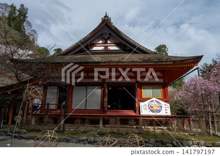 坦贊神社的禮拜殿與春景 坦贊神社的禮拜殿與春景 141797197