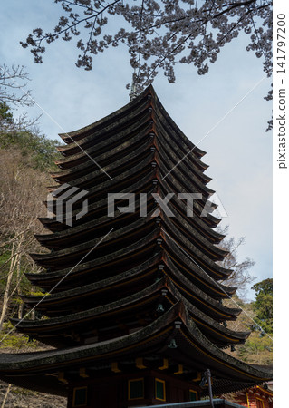 一座十三層樓高的寶塔矗立在樹林中。 一座十三層樓高的寶塔矗立在樹林中。 141797200