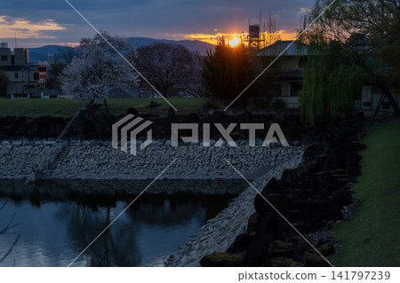Sarusawa Pond shrouded in evening cherry blossoms Sarusawa Pond shrouded in evening cherry blossoms 141797239