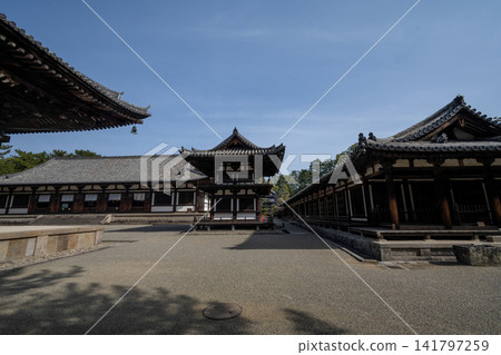 東照台寺寧靜的寺院庭院 東照台寺寧靜的寺院庭院 141797259