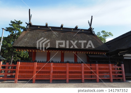 The shrine buildings of Sumiyoshi Taisha The shrine buildings of Sumiyoshi Taisha 141797352