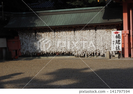 Sumiyoshi Taisha的財富 Sumiyoshi Taisha的財富 141797594