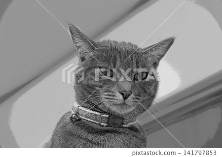素描 風格 貓 貓 貓 kijitora 灰色 女 女 母貓 母貓 健康 漂亮 癒合 素描 風格 貓 貓 貓 kijitora 灰色 女 女 母貓 母貓 健康 漂亮 癒合 141797853