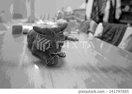 素描 風格 貓 貓 貓 kijitora 灰色 女 女 母貓 母貓 健康 漂亮 癒合 素描 風格 貓 貓 貓 kijitora 灰色 女 女 母貓 母貓 健康 漂亮 癒合 141797885