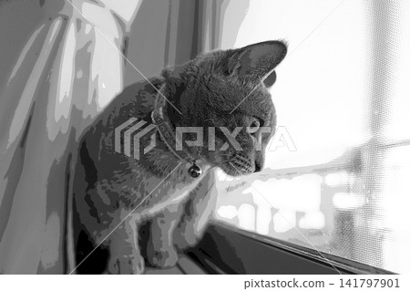 素描 風格 貓 貓 貓 kijitora 灰色 女 女 母貓 母貓 健康 漂亮 癒合 素描 風格 貓 貓 貓 kijitora 灰色 女 女 母貓 母貓 健康 漂亮 癒合 141797901