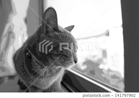 sketch style cat cat cat kijitora gray female female female cat female cat healthy pretty healing sketch style cat cat cat kijitora gray female female female cat female cat healthy pretty healing 141797902