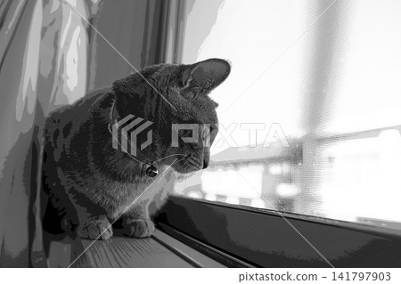 sketch style cat cat cat kijitora gray female female female cat female cat healthy pretty healing sketch style cat cat cat kijitora gray female female female cat female cat healthy pretty healing 141797903