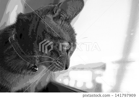 sketch style cat cat cat kijitora gray female female female cat female cat healthy pretty healing sketch style cat cat cat kijitora gray female female female cat female cat healthy pretty healing 141797909