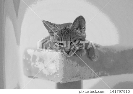 素描 風格 貓 貓 貓 kijitora 灰色 女 女 母貓 母貓 健康 漂亮 癒合 素描 風格 貓 貓 貓 kijitora 灰色 女 女 母貓 母貓 健康 漂亮 癒合 141797910