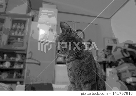 sketch style cat cat cat kijitora gray female female female cat female cat healthy pretty healing sketch style cat cat cat kijitora gray female female female cat female cat healthy pretty healing 141797913