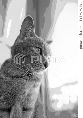 sketch style cat cat cat kijitora gray female female female cat female cat healthy pretty healing sketch style cat cat cat kijitora gray female female female cat female cat healthy pretty healing 141797915