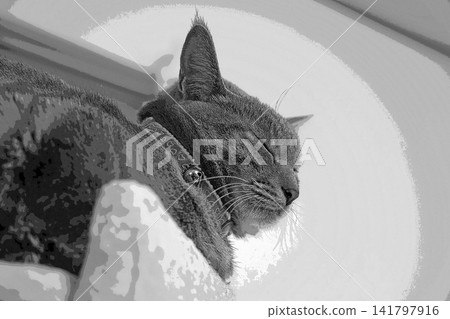 sketch style cat cat cat kijitora gray female female female cat female cat healthy pretty healing sketch style cat cat cat kijitora gray female female female cat female cat healthy pretty healing 141797916