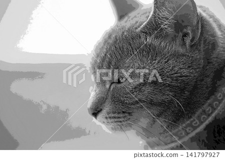 素描 風格 貓 貓 貓 kijitora 灰色 女 女 母貓 母貓 健康 漂亮 癒合 素描 風格 貓 貓 貓 kijitora 灰色 女 女 母貓 母貓 健康 漂亮 癒合 141797927