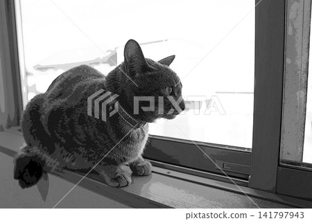 sketch style cat cat cat kijitora gray female female female cat female cat healthy pretty healing 141797943