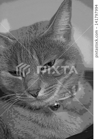 素描 風格 貓 貓 貓 kijitora 灰色 女 女 母貓 母貓 健康 漂亮 癒合 141797994