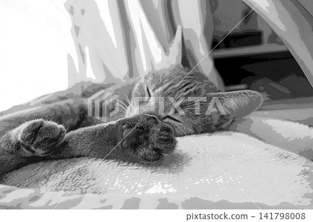 sketch style cat cat cat kijitora gray female female female cat female cat healthy pretty healing 141798008