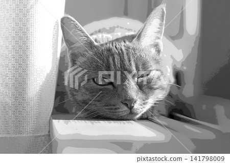 sketch style cat cat cat kijitora gray female female female cat female cat healthy pretty healing sketch style cat cat cat kijitora gray female female female cat female cat healthy pretty healing 141798009