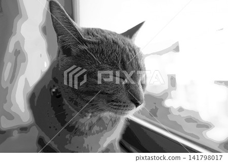 素描 風格 貓 貓 貓 kijitora 灰色 女 女 母貓 母貓 健康 漂亮 癒合 素描 風格 貓 貓 貓 kijitora 灰色 女 女 母貓 母貓 健康 漂亮 癒合 141798017