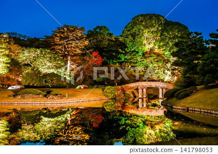 東京六義園的秋葉燈光秀 東京六義園的秋葉燈光秀 141798053