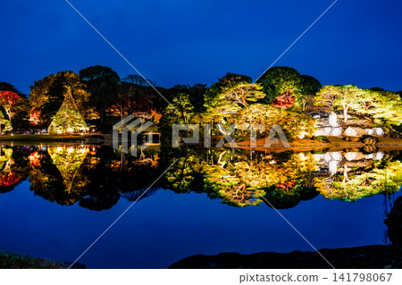 東京六義園的秋葉燈光秀 東京六義園的秋葉燈光秀 141798067