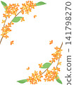 Autumn card decorated with osmanthus flowers (vertical writing version) Autumn card decorated with osmanthus flowers (vertical writing version) 141798270