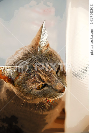 sketch style cat cat cat kijitora gray female female female cat female cat healthy pretty healing sketch style cat cat cat kijitora gray female female female cat female cat healthy pretty healing 141798368