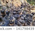 Rustic Scene of Burnt Bamboo Stumps, Ash, and Debris in a Forest Clearing 141798439