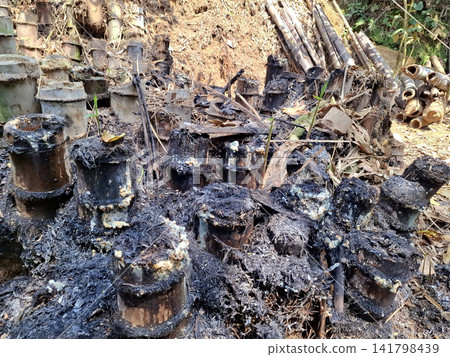 Rustic Scene of Burnt Bamboo Stumps, Ash, and Debris in a Forest Clearing Rustic Scene of Burnt Bamboo Stumps, Ash, and Debris in a Forest Clearing 141798439