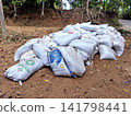 Stacked white and blue feed sacks on rural red dirt ground by lush forest vegetation 141798441