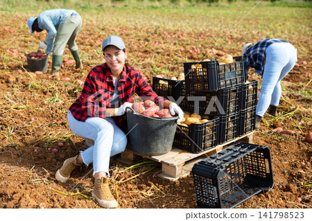 Smiling girl farm worker sitting near boxes with harvested potatoes on field Smiling girl farm worker sitting near boxes with harvested potatoes on field 141798523