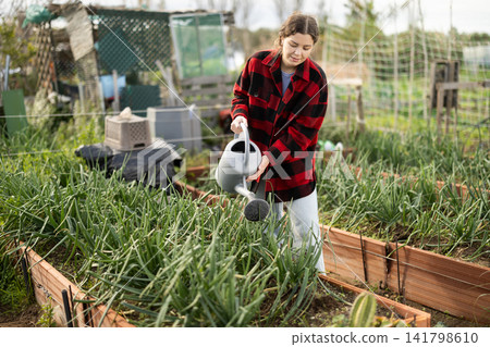 Young woman watering onions in garden Young woman watering onions in garden 141798610