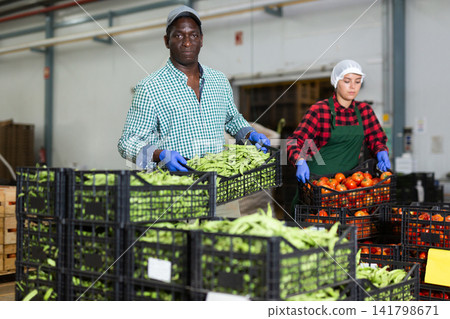 Factory workers stacking crates full of vegetables Factory workers stacking crates full of vegetables 141798671