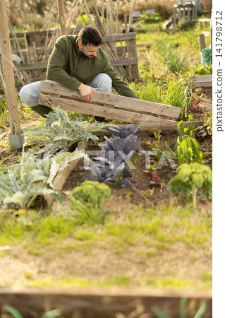 Male farmer makes fence for garden beds Male farmer makes fence for garden beds 141798712