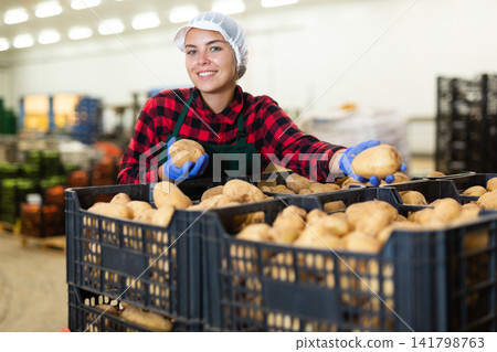 Cheerful girl checking quality and sorting potatoes in storehouse Cheerful girl checking quality and sorting potatoes in storehouse 141798763