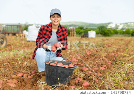 Portrait of woman farmer working on potato field at farm Portrait of woman farmer working on potato field at farm 141798784