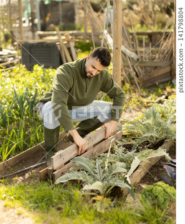 Young man building fence in garden Young man building fence in garden 141798804