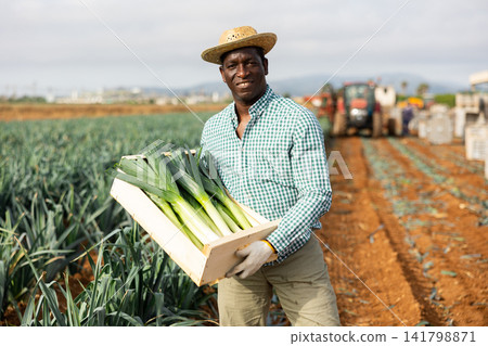 Farmer posing with leek crop on field Farmer posing with leek crop on field 141798871