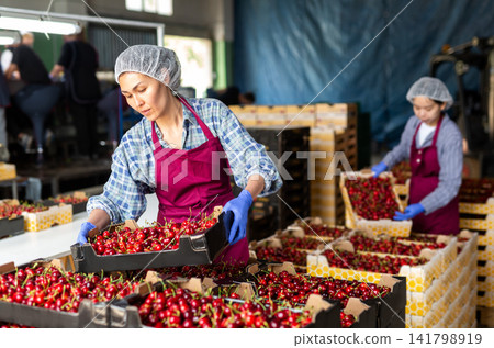 Girl and woman are working in warehouse Girl and woman are working in warehouse 141798919