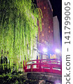 Harimaya Bridge and vibrant green willows, a famous tourist spot in Kochi, illuminated at night. 141799005