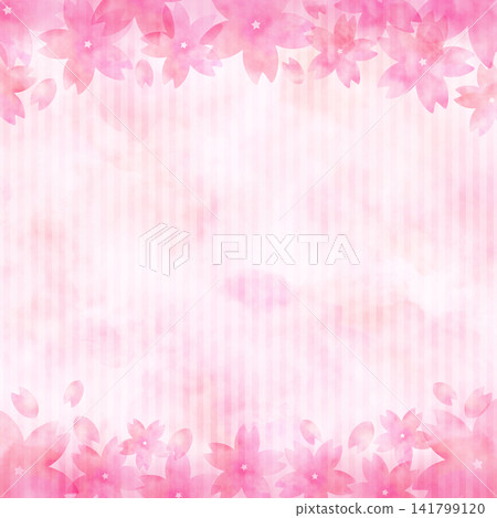 Cherry blossom watercolor spring frame 1:1 Cherry blossom watercolor spring frame 1:1 141799120