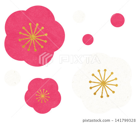 Plum blossom  141799328