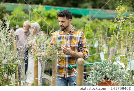 Adult man choose tree seedlings in garden supermarket Adult man choose tree seedlings in garden supermarket 141799408