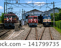 老式機車整齊地排列在鐵路車庫。 141799735