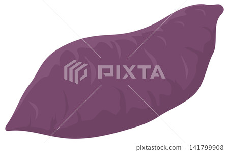 Sweet potato illustration_1 141799908